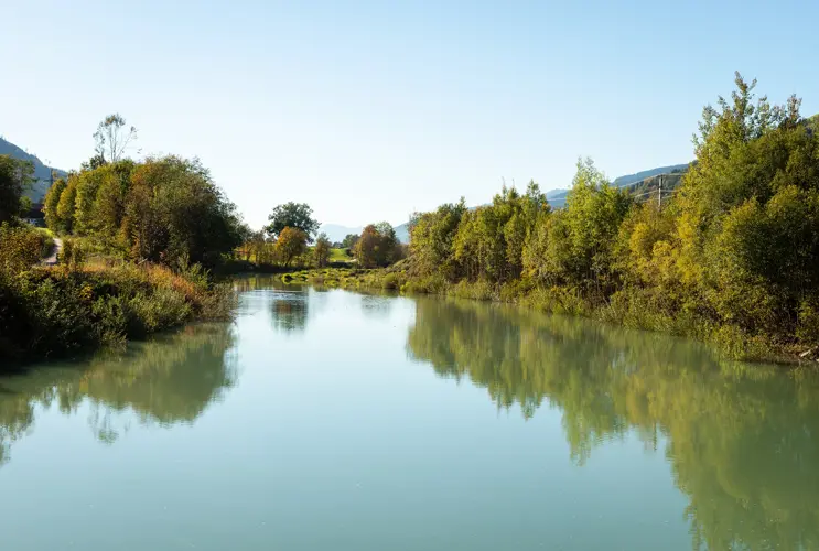 Wir sehen die Salzach in sanftes Licht getaucht. Sie wird gesäumt von Bäumen und Sträuchern.