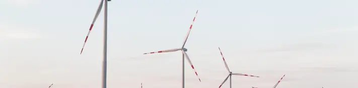 Rose-bläuliche Dämmerungsstimmung im Windpark.