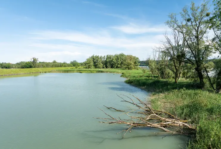 Vor einem strahlenden blauen Hintergrund eröffnet sich eine idyllische Szenerie an einem Inn-Ufer.