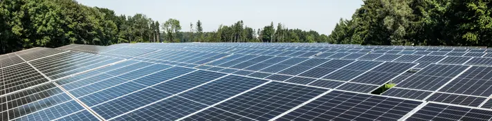 Im Vordergrund sieht man Photovoltaik-Pannels. Im Hintergrund erstreckt sich grüner Wald vor einem strahlend-blauem Himmel.