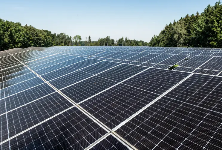 Im Vordergrund sieht man Photovoltaik-Pannels. Im Hintergrund erstreckt sich grüner Wald vor einem strahlend-blauem Himmel.