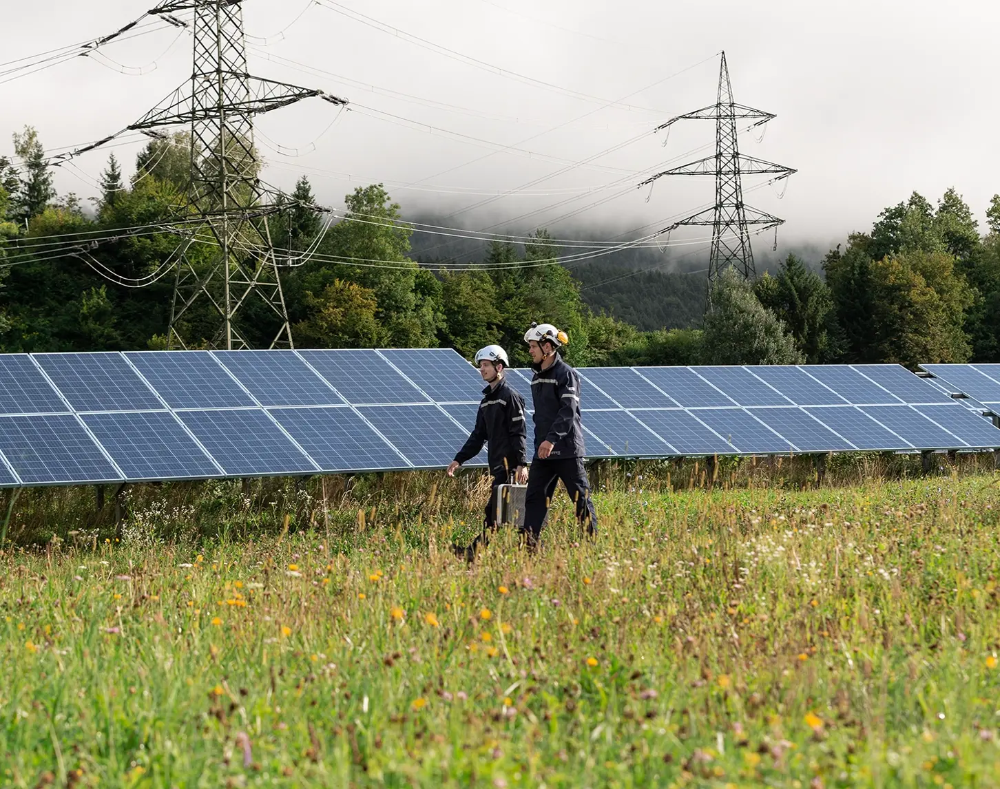 Zwei VERBUND-Mitarbeiter sind mit Equipment bei einen Photovoltaik-Park unterwegs. Im Vordergrund ist eine herrliche Wildkräuterblumenwiese zu sehen. Im Hintergrund wabern Nebelschwaden.